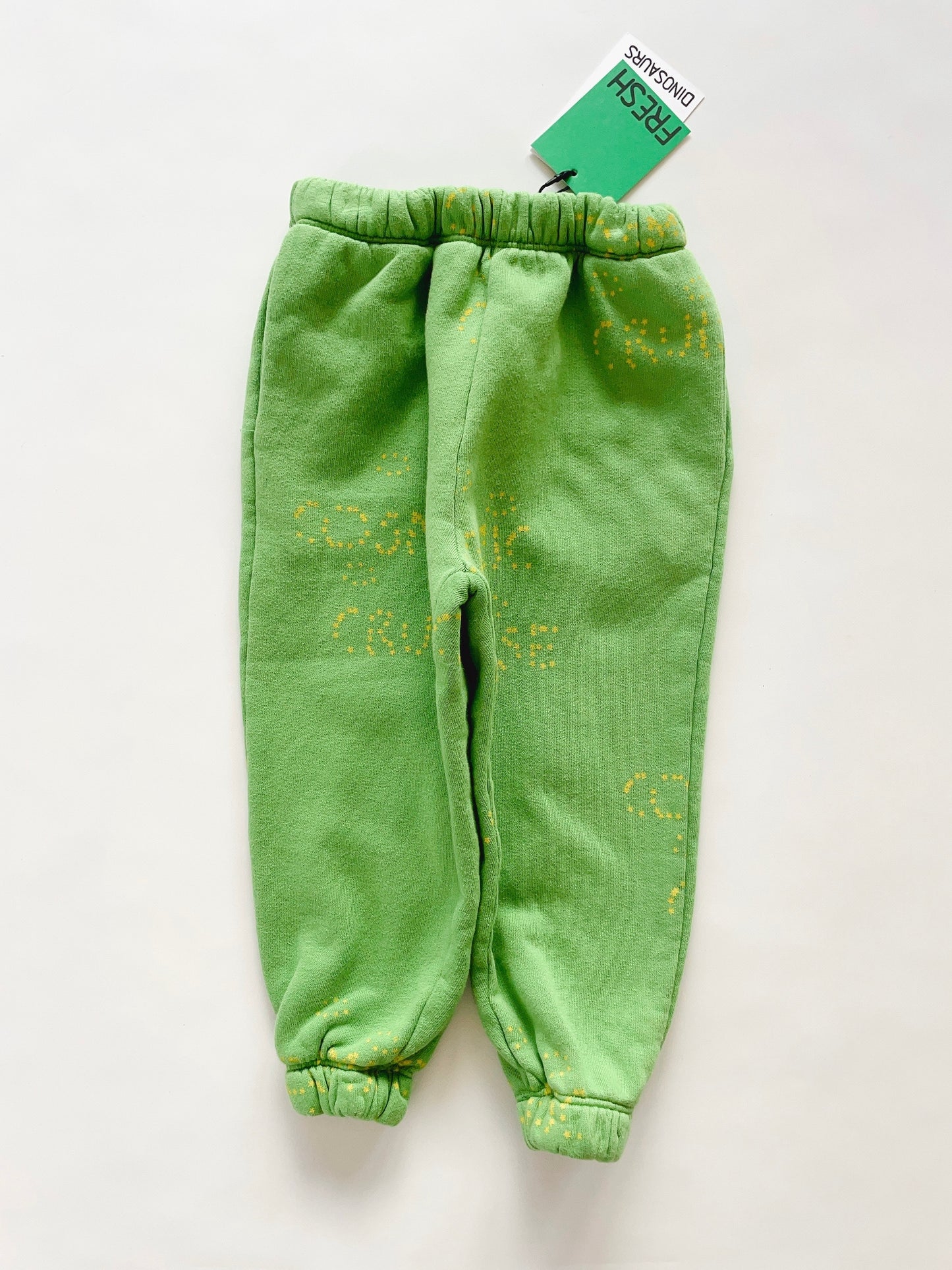+Fresh Dinosaurs+ COSMIC GREEN PANTS | 2y