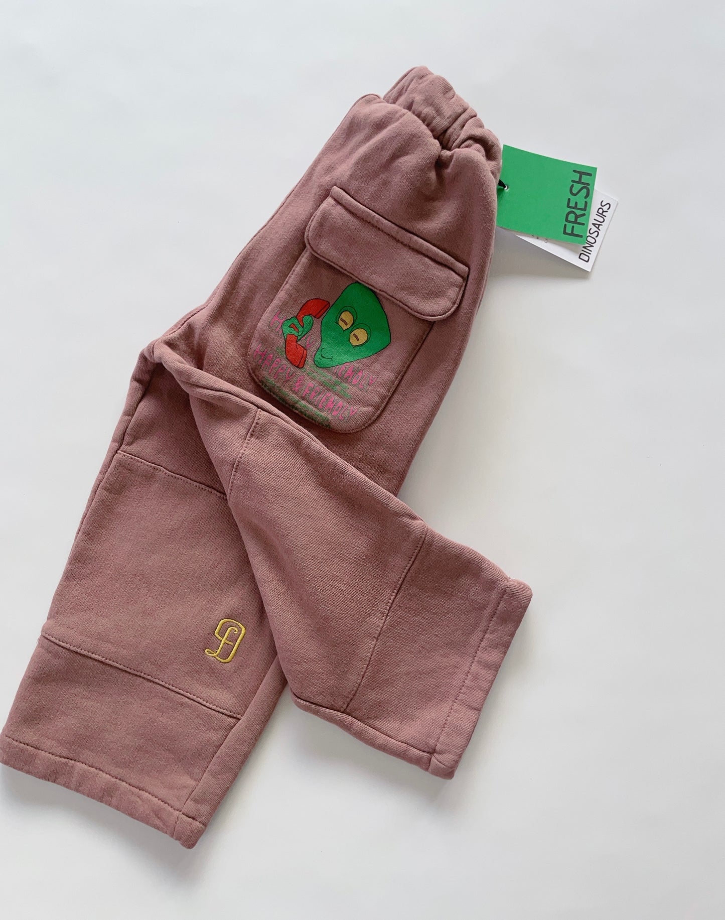 +Fresh Dinosaurs+ FD BROWN PANTS | 12y