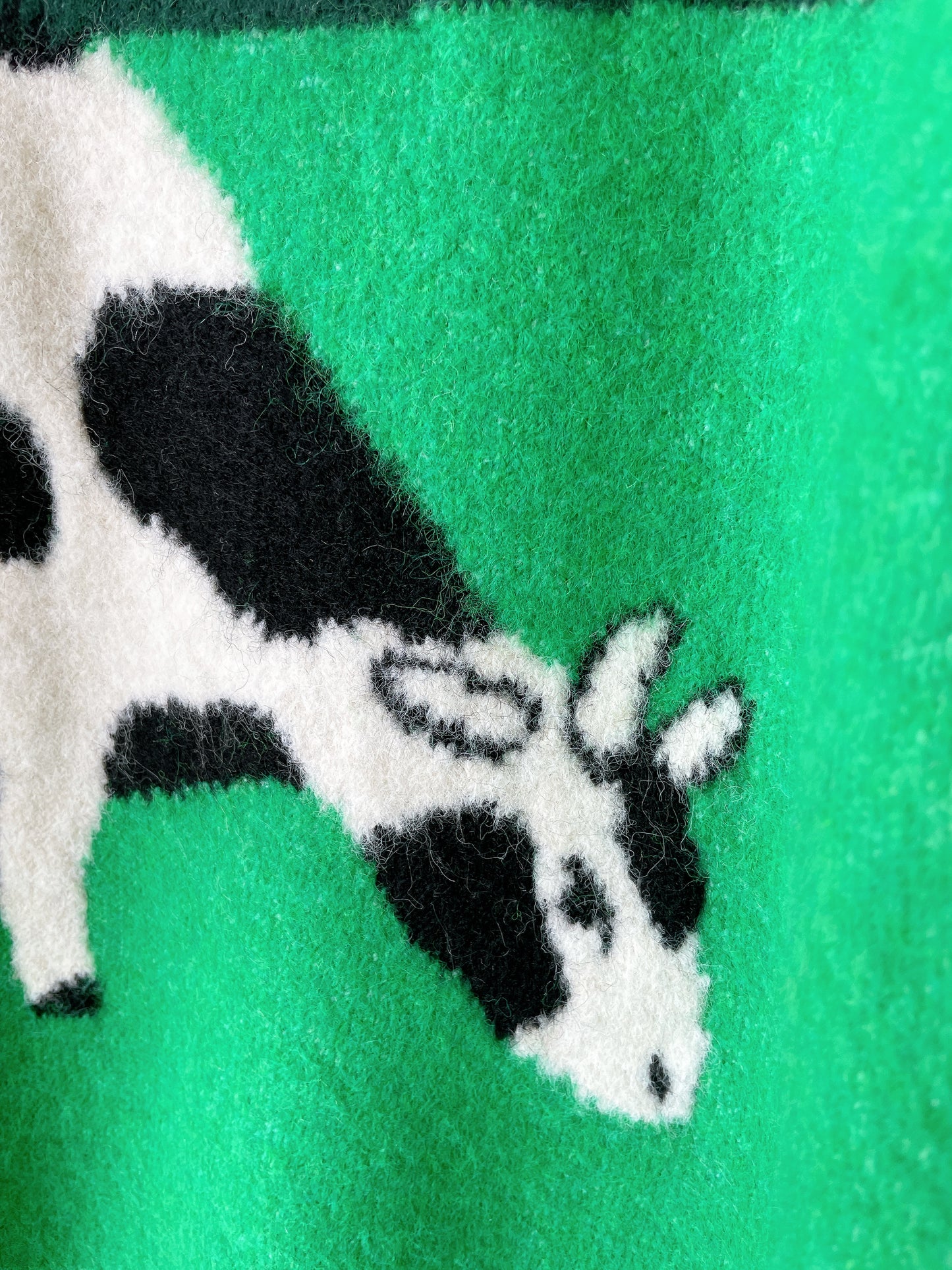 +FISH&KIDS+ COW KNIT