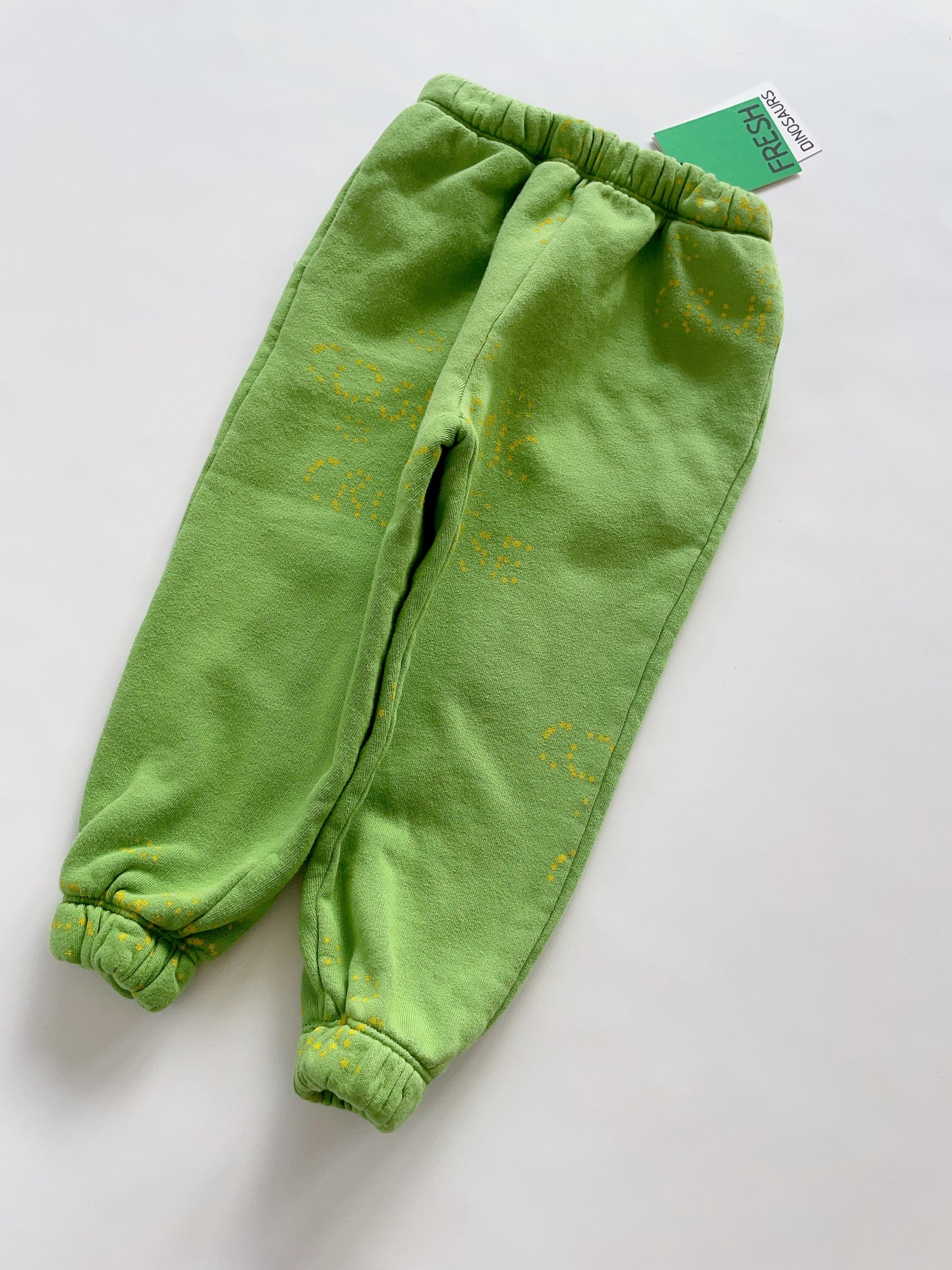 +Fresh Dinosaurs+ COSMIC GREEN PANTS | 2y