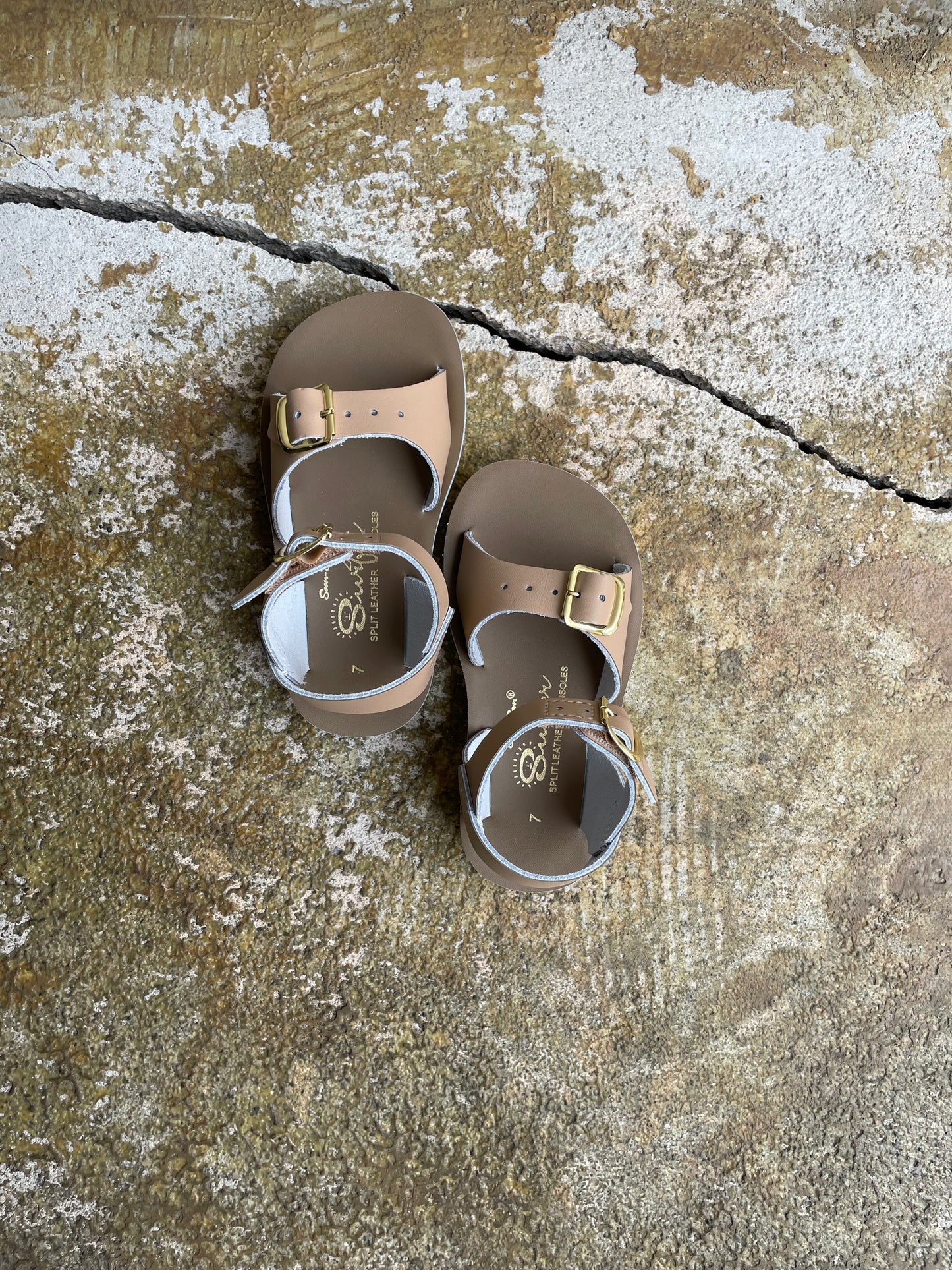 +Salt Water Sandals+ surfer - latte【1723】