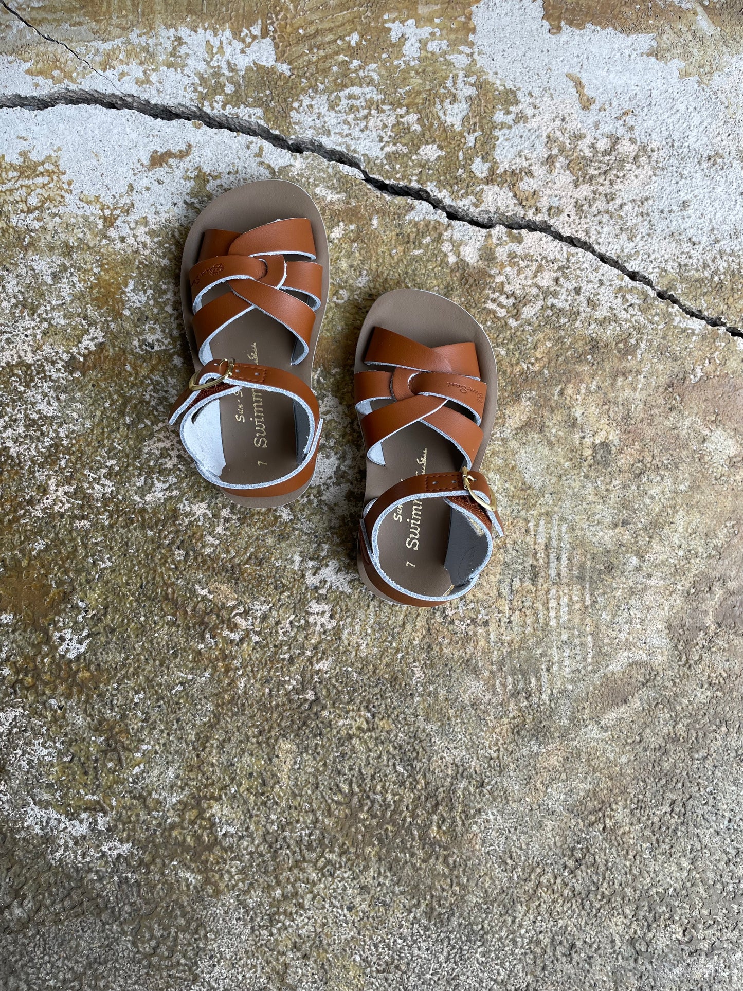 +Salt Water Sandals+ swimmer - tan【8005】