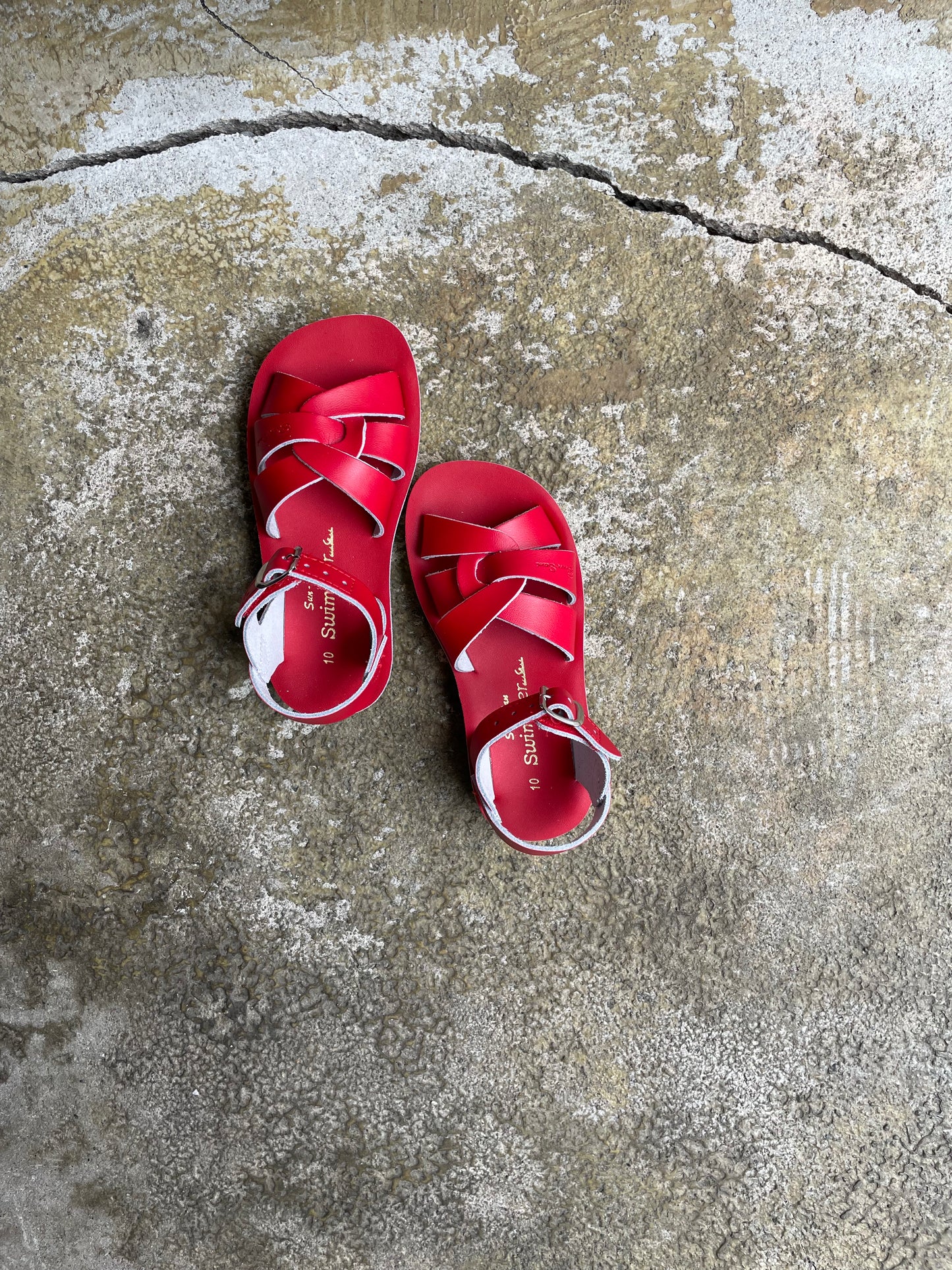 +Salt Water Sandals+ swimmer - red【8004】