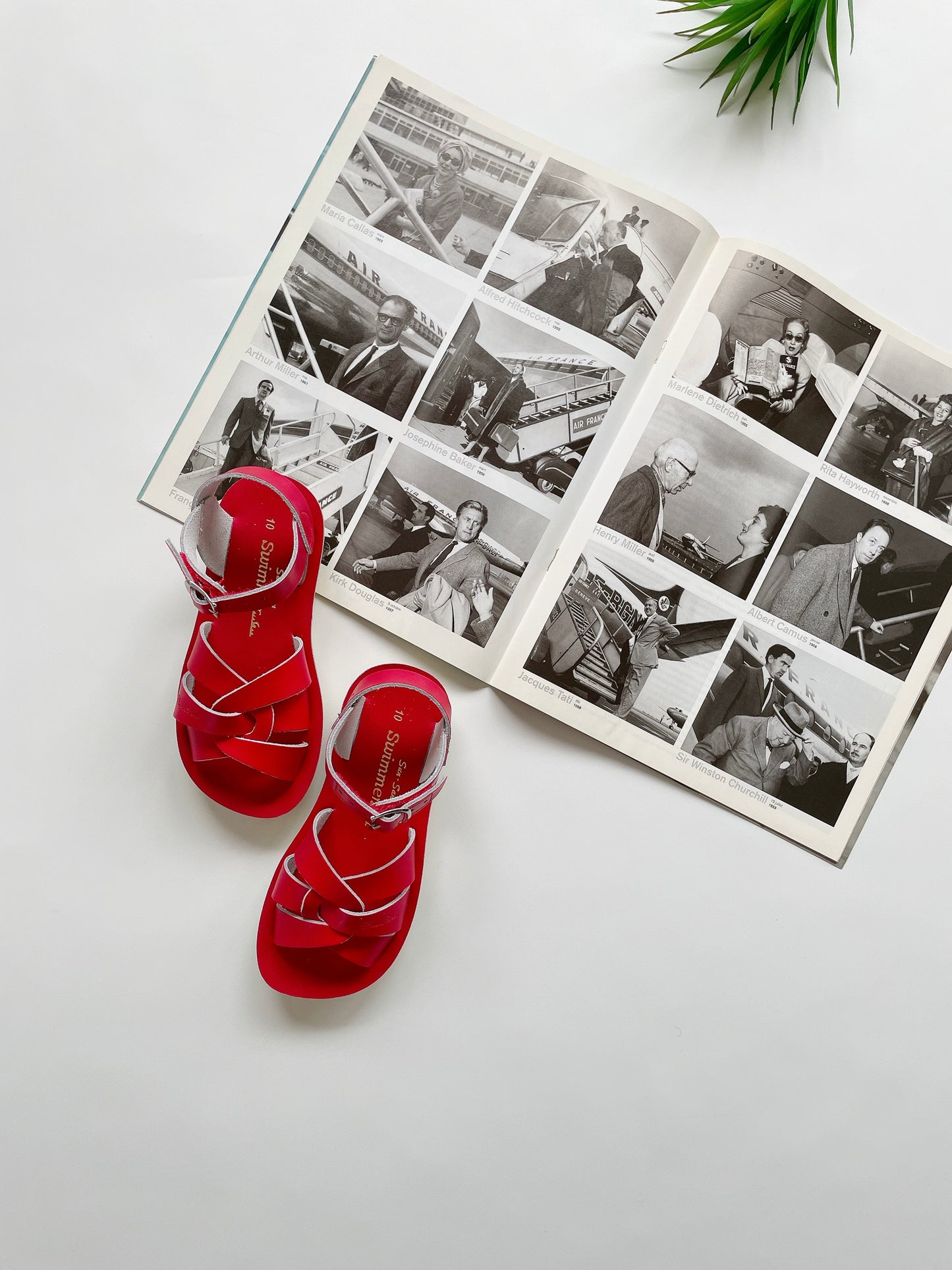+Salt Water Sandals+ swimmer - red【8004】