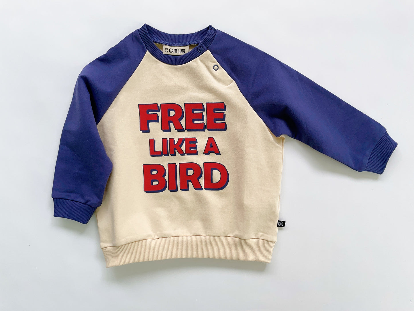 +CARLIJNQ+ Free like a bird raglan sweater with print