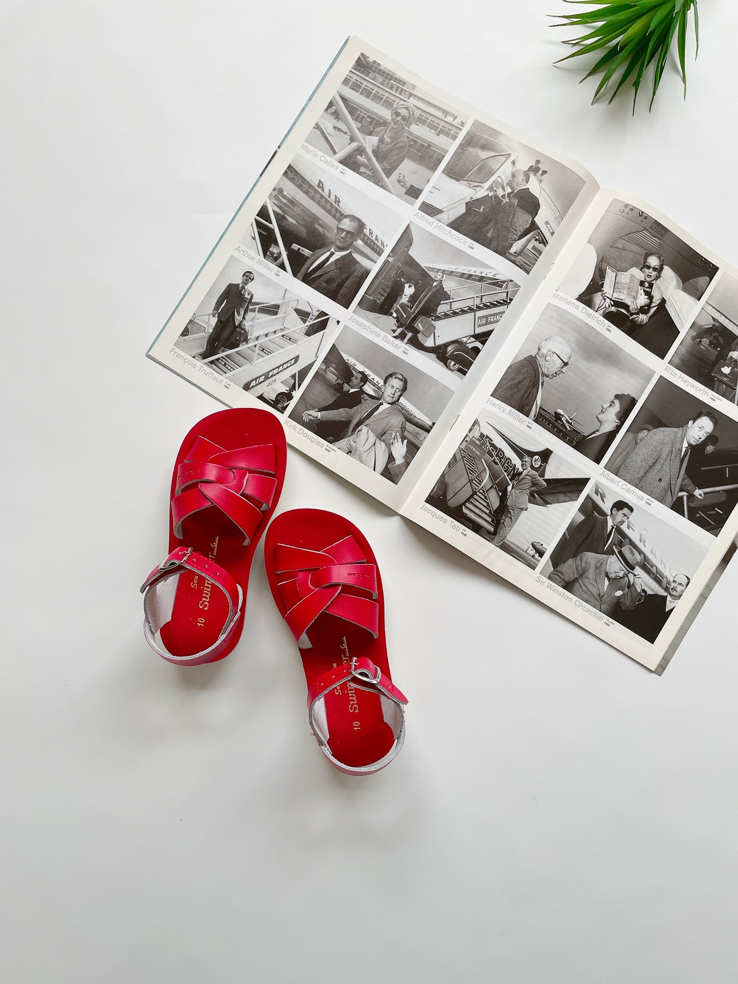 +Salt Water Sandals+ swimmer - red【8004】