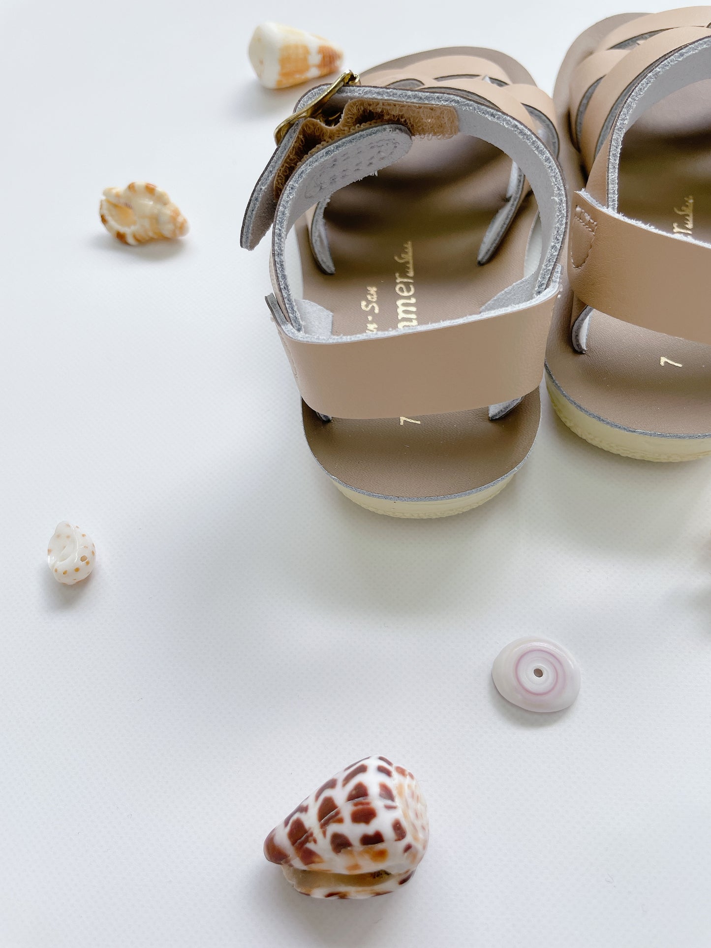 +Salt Water Sandals+ swimmer - latte【8023】