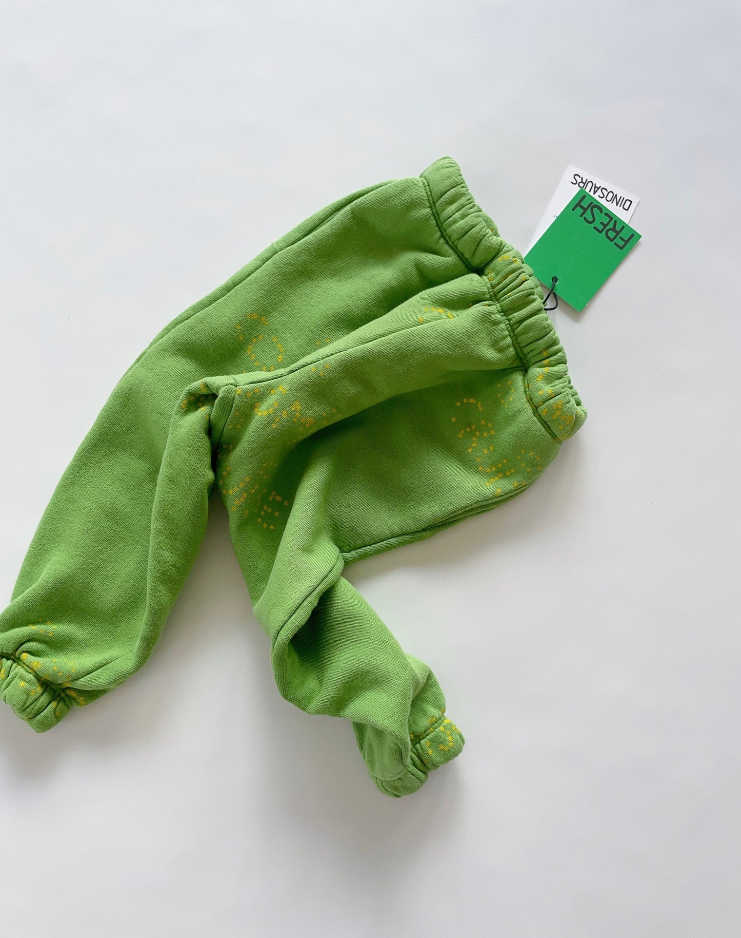 +Fresh Dinosaurs+ COSMIC GREEN PANTS | 2y